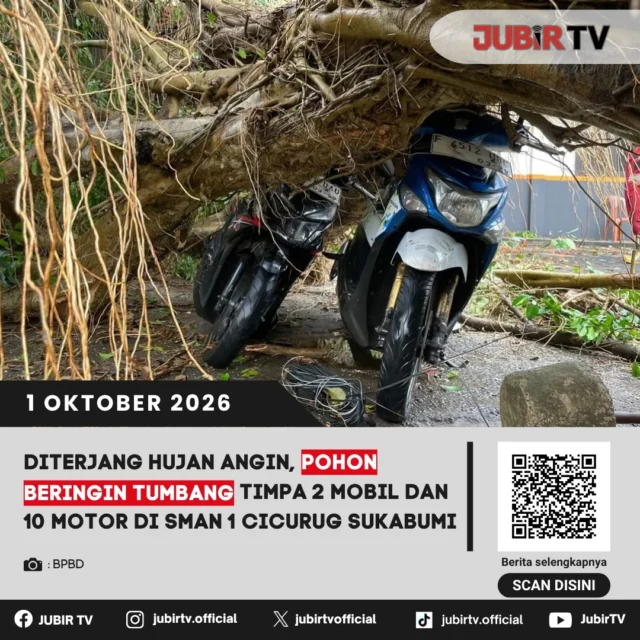 🌧️ Diterjang Hujan Angin, Pohon Tumbang Timpa 2 Mobil dan 10 Motor di SMAN 1 Cicurug

Pohon beringin berukuran besar tumbang di halaman SMAN 1 Cicurug, Sukabumi, Rabu (30/9) siang, saat hujan deras disertai angin kencang. Sebanyak 12 kendaraan, terdiri dari 2 mobil dan 10 sepeda motor, tertimpa material pohon.

Selain kendaraan, sejumlah bagian bangunan sekolah turut terdampak. Tidak ada korban jiwa dalam kejadian tersebut, sementara petugas gabungan masih melakukan evakuasi dan pembersihan material pohon.

Bagaimana kondisi sekolah setelah kejadian? 

📌 𝐈𝐧𝐟𝐨 𝐥𝐞𝐧𝐠𝐤𝐚𝐩𝐧𝐲𝐚 𝐜𝐞𝐤 𝐝𝐢 𝐬𝐭𝐨𝐫𝐲 & 𝐬𝐨𝐫𝐨𝐭𝐚𝐧

#jubirtv #jubirtvnewscom #cicurug #sukabumi #pohontumbang #hujanderas #anginkencang #cuacaekstrem #bencanaskubumi